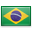 Flag icon