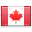 Flag icon