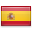 Flag icon