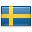 Flag icon