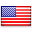 Flag icon